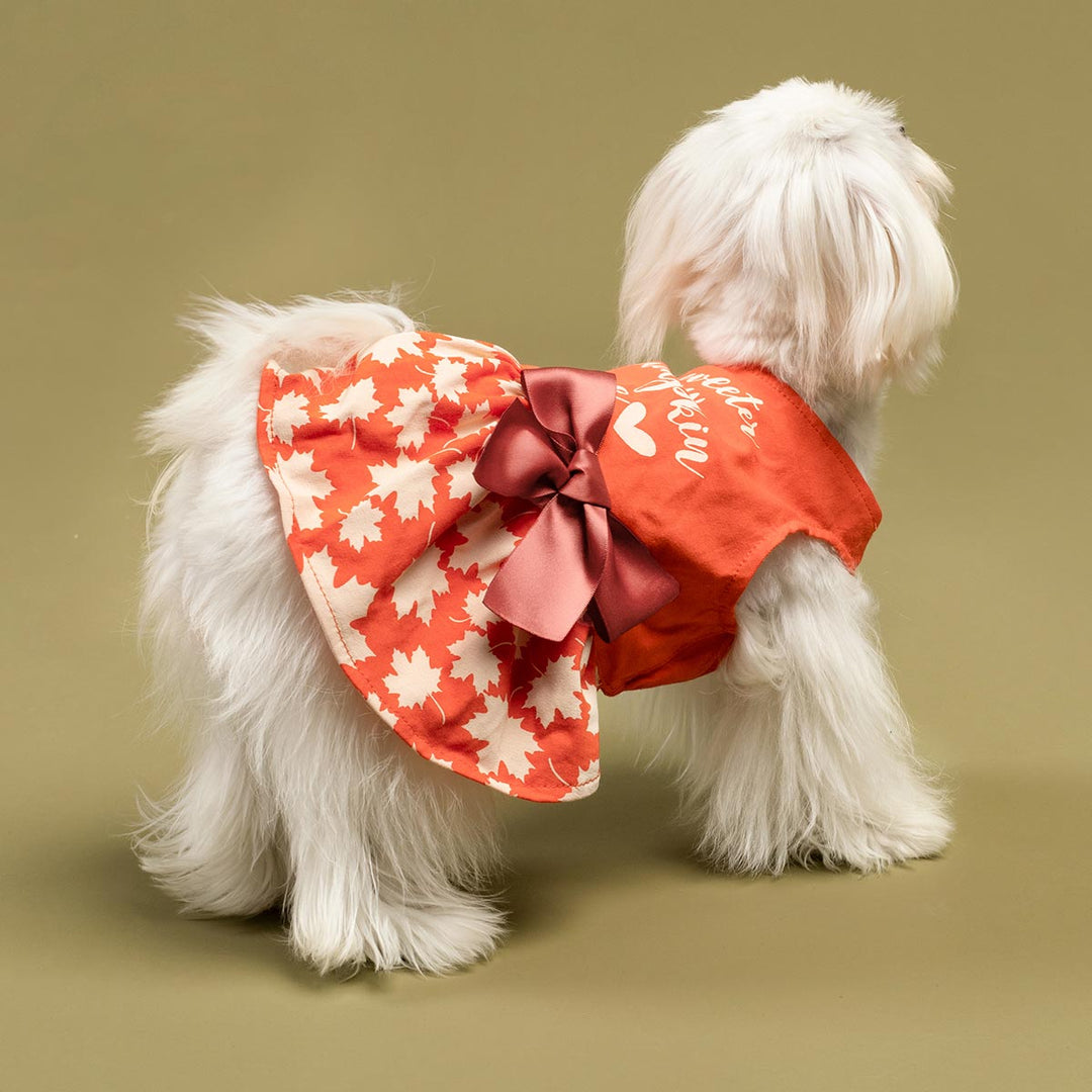 Funny Dog Thanksgiving Dress - Fitwarm Dog Clothes