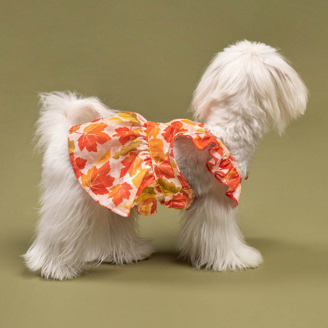 Ruffle Dress for Dogs - Fitwarm Dog Clothes