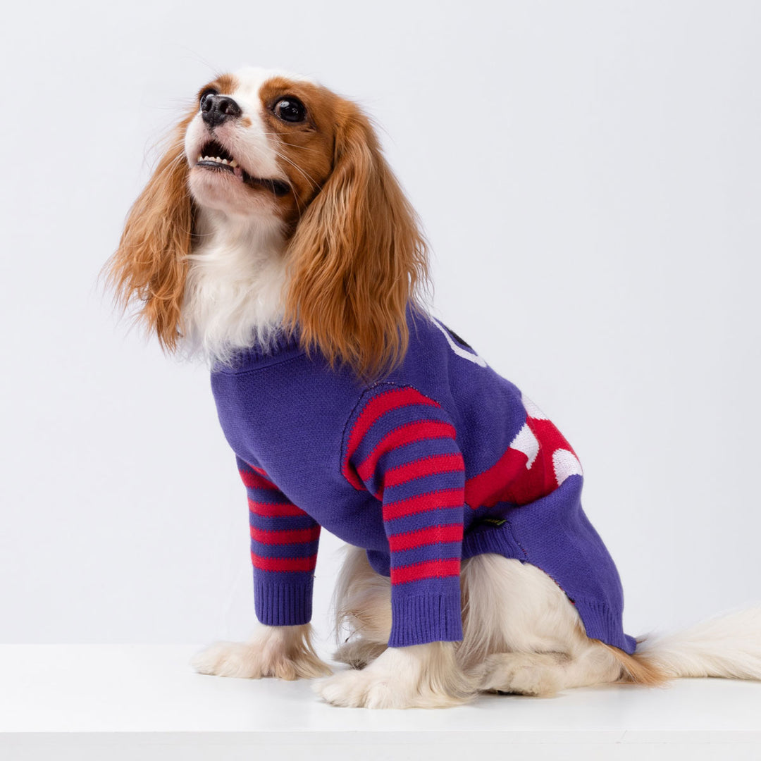 Funny Monster Dog Sweater - Fitwarm Dog Clothes