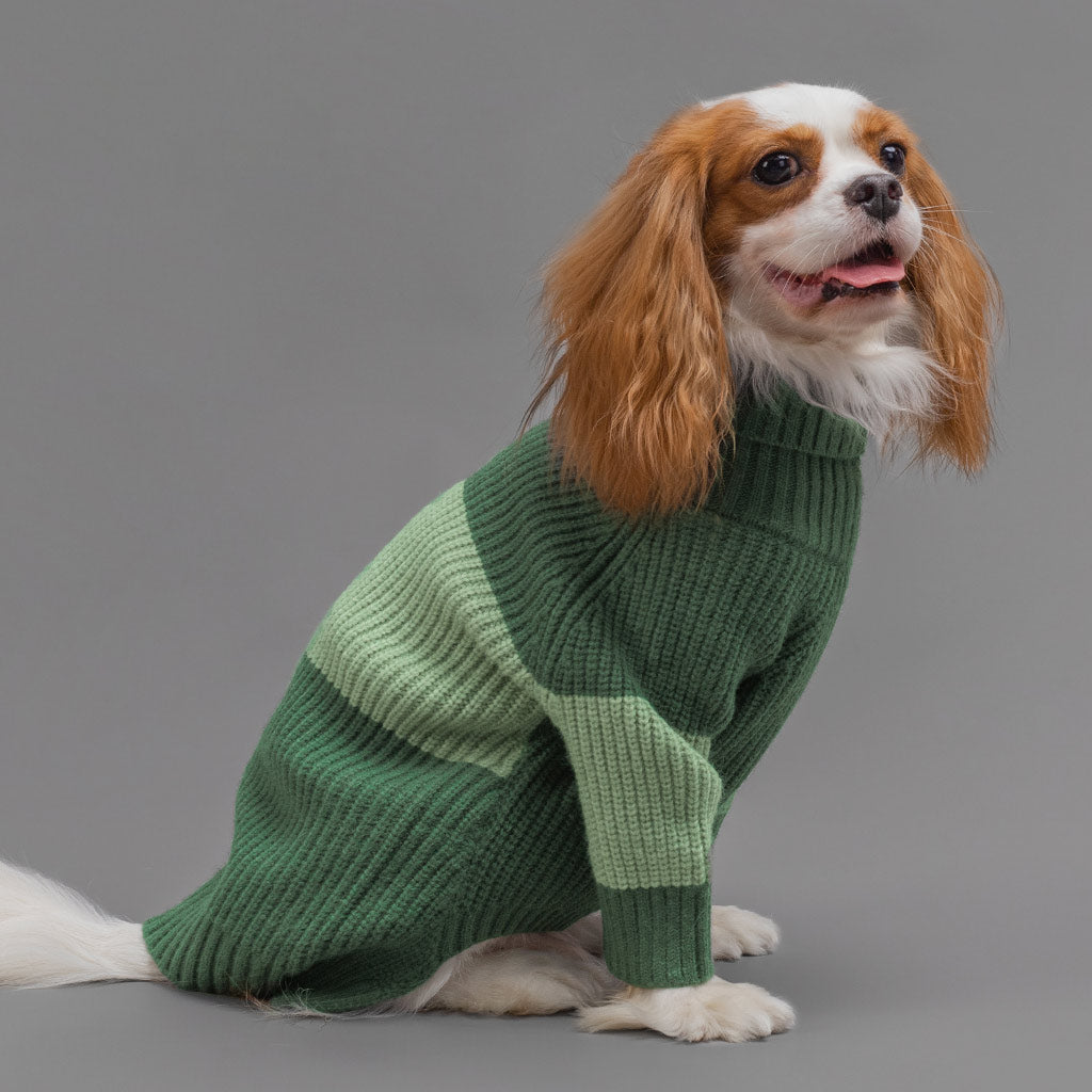 Stylish Color Block Dog Sweater - Fitwarm Dog Clothes