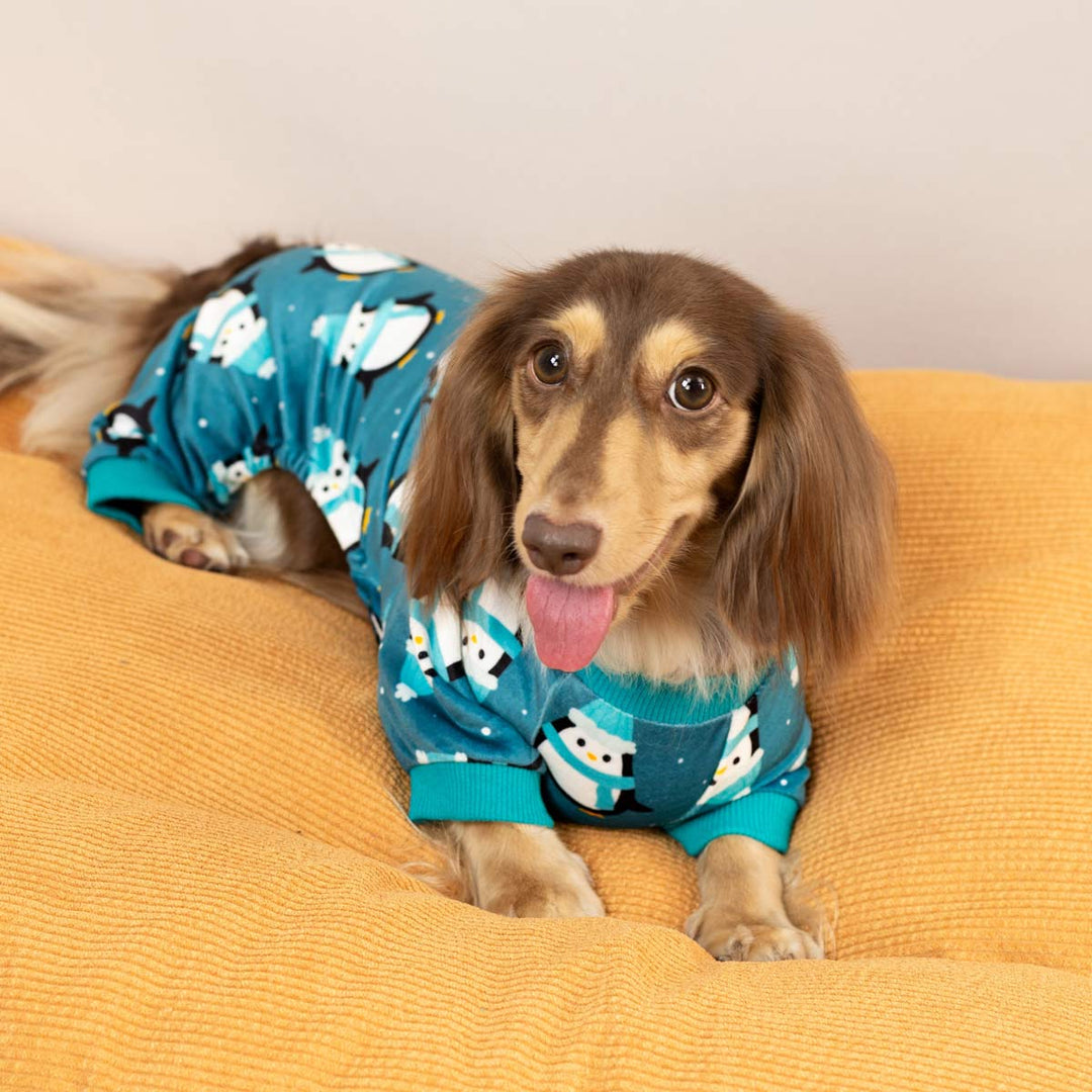 Dachshund in a Dog Pajamas with Funny Penguin Prints - Fitwarm Dog Clothes