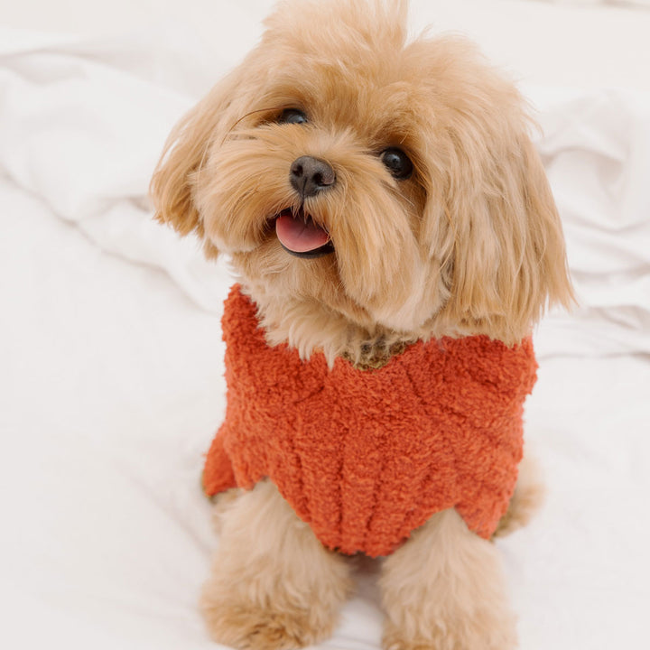 Winter Sweater for Dogs - Fitwarm Dog Clothes