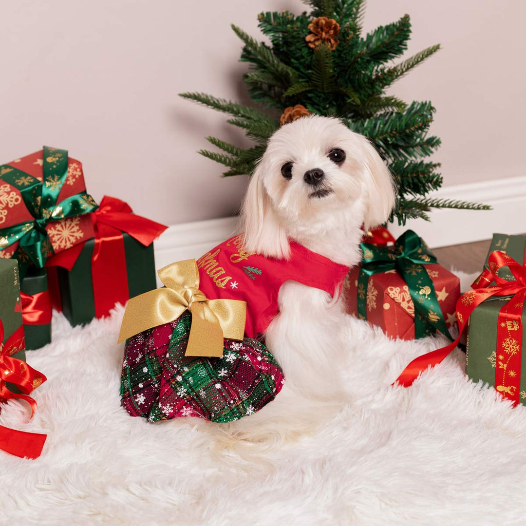 Maltese in a Christmas Dog Dress - Fitwarm Dog Clothes