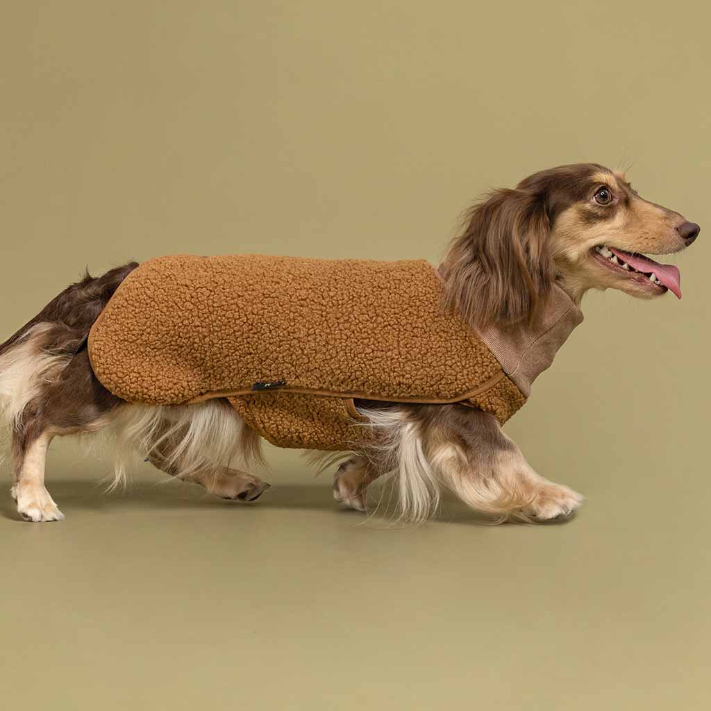 Dachshund in a Warm Dog Coat - Fitwarm Dog Sweater