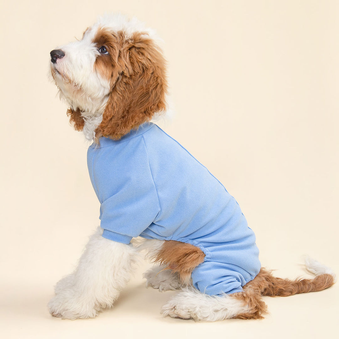 Cozy Pajamas for Dogs - Fitwarm Dog Onesie