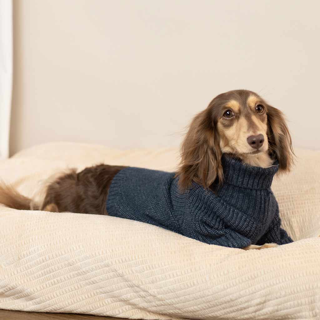 Dog sweater turtleneck fashion