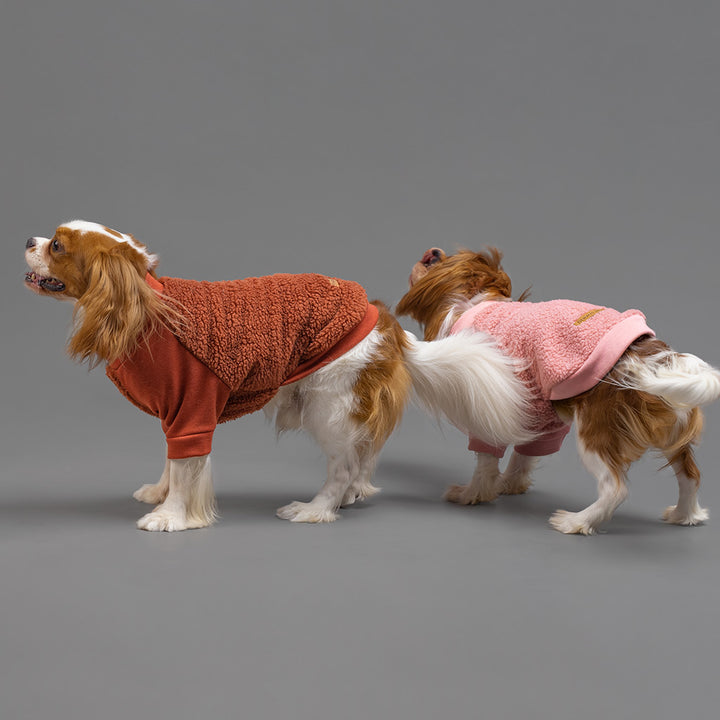 Sherpa Winter Sweater for Dogs - Fitwarm Dog Clothes