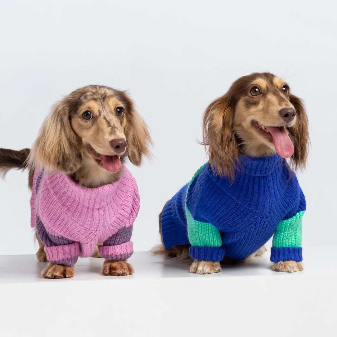 Color Block Winter Dog Sweaters - Fitwarm Dog Clothes 