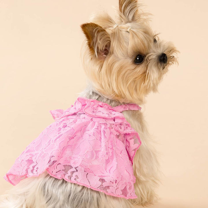Pink Lace Floral Dog Dress  for Yorkie - Fitwarm Dog Clothes 