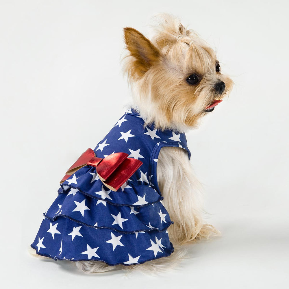 Yorkie in a Patriotic Dog Dress - Fitwarm Dog Clothes