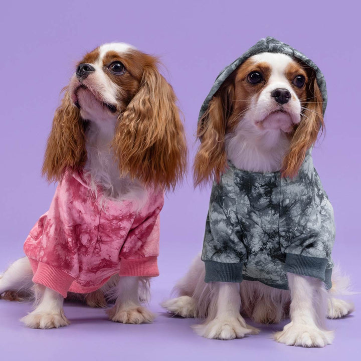 Classic Tie Dye Dog Hoodie - Fitwarm Dog Clothes