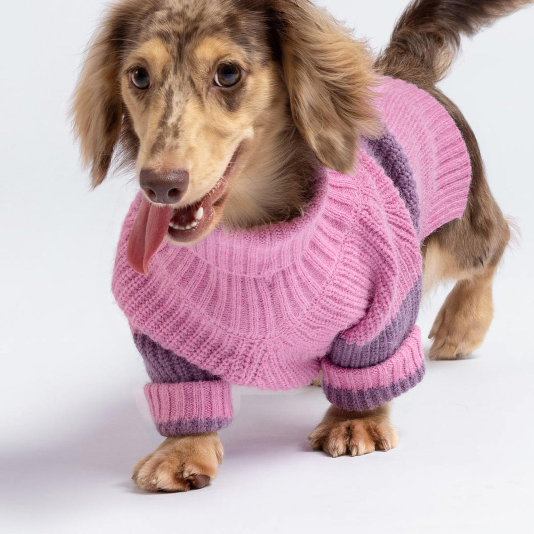 Knitted Winter Sweater for Dogs - Fitwarm Dog Clothes