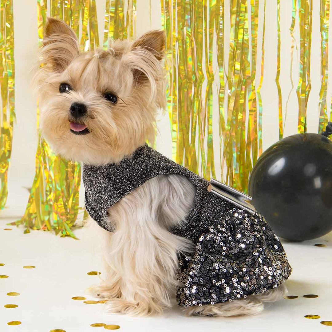 Yorkie in a Charming Dog Dress with Sparkly Design - Fitwarm Dog Clothes