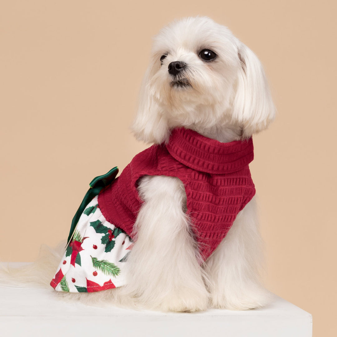 Turtleneck Knitted Dog Christmas Dress - Fitwarm Dog Christmas Outfit