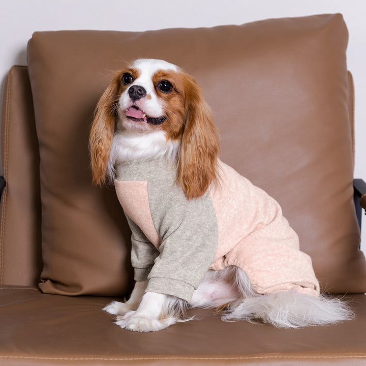 Turtleneck Fleece Dog Pajamas - Fitwarm Dog Clohes