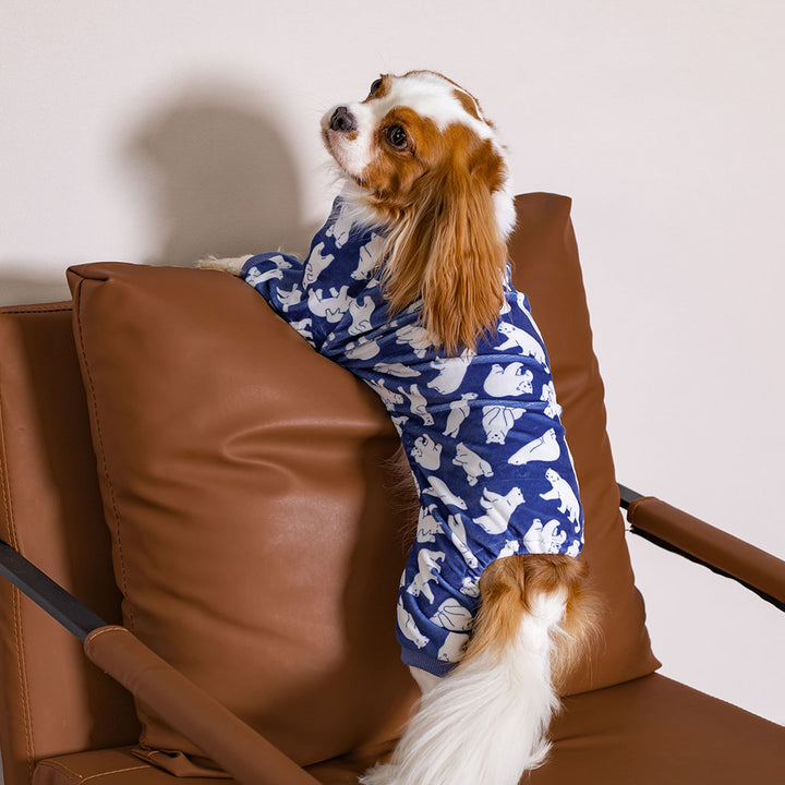 Cozy Onesie for Dogs - Fitwarm Dog Clothes