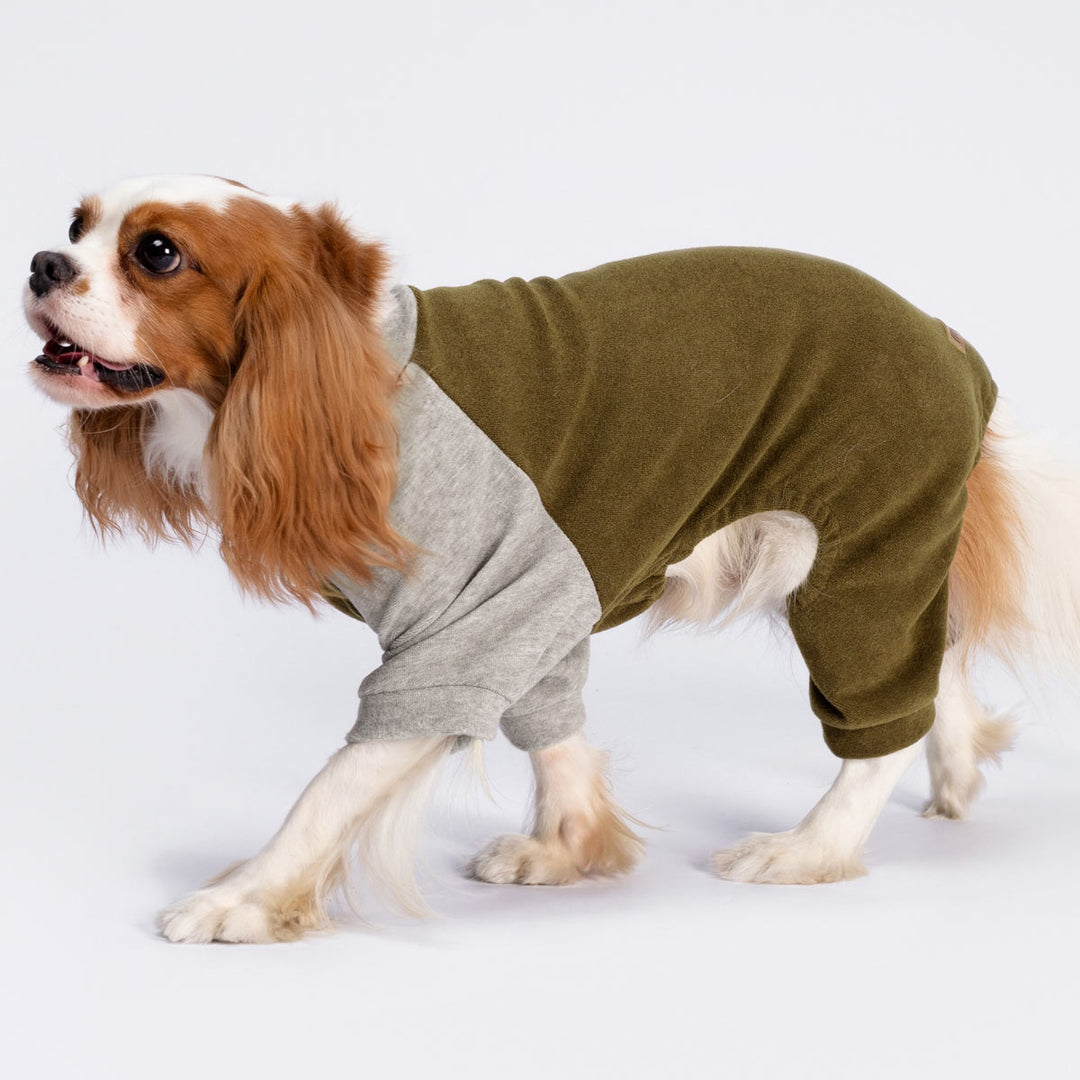 Stylish Raglan Pajamas for Dogs - Fitwarm Dog Onesie