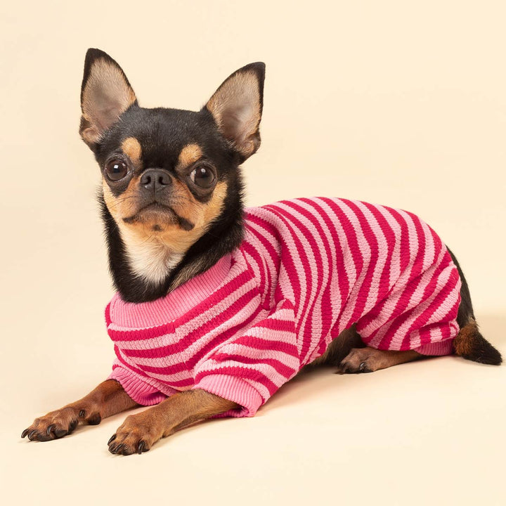 Striped Pajamas for Dogs - Fitwarm Dog Clothes