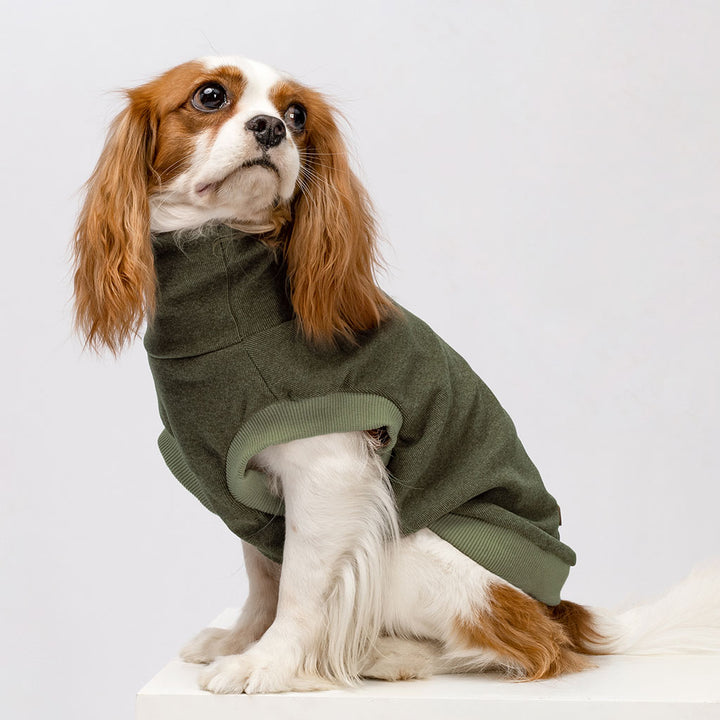 Cozy Turtleneck Winter Dog Coat - Fitwarm Dog Clothes