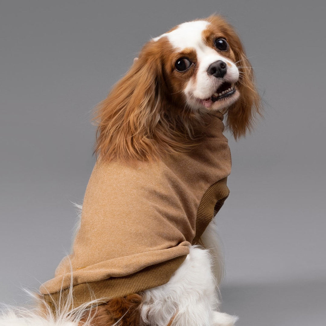 Winter Fleece Dog Coat - Fitwarm Dog Clothes