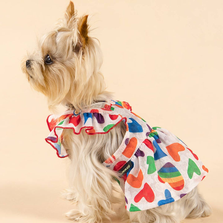 Yorkie in a Ruffle Rainbow Heart Summer Dog Dress - Fitwarm Dog Clothes