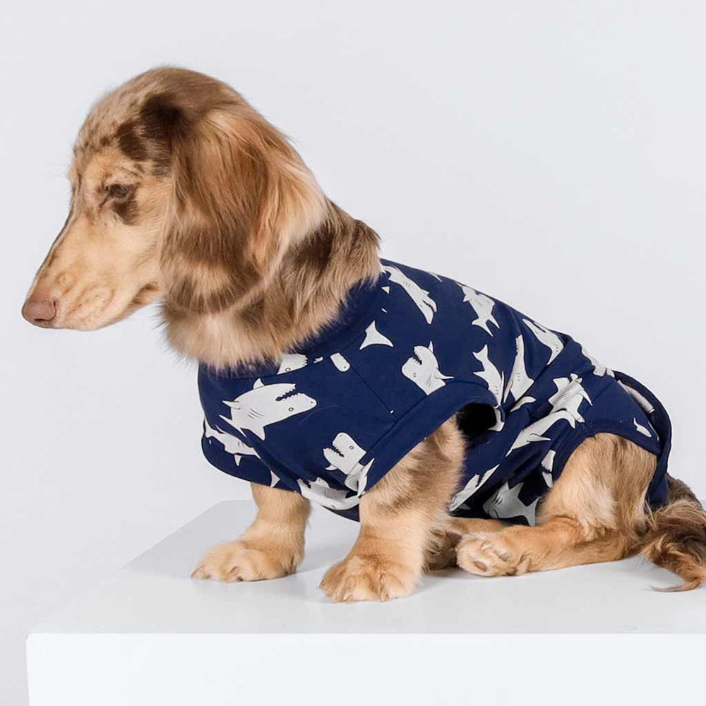 Dachshund in a Cute Shark Recovery Dog Shirt - Dachshund Apparel for Dogs - Fitwarm Dog Clothes