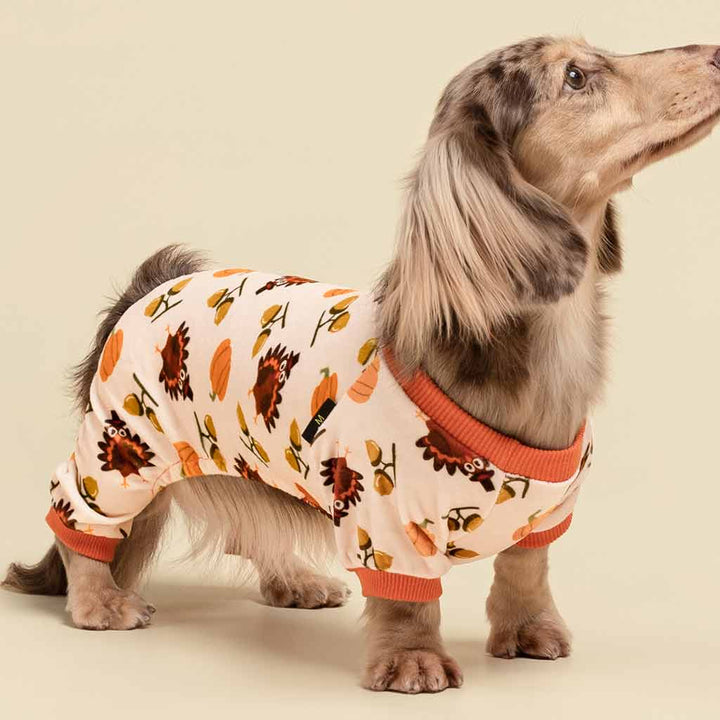 Dachshund in a Cute Turkey Dog Pajamas - Fitwarm Dog Clothes