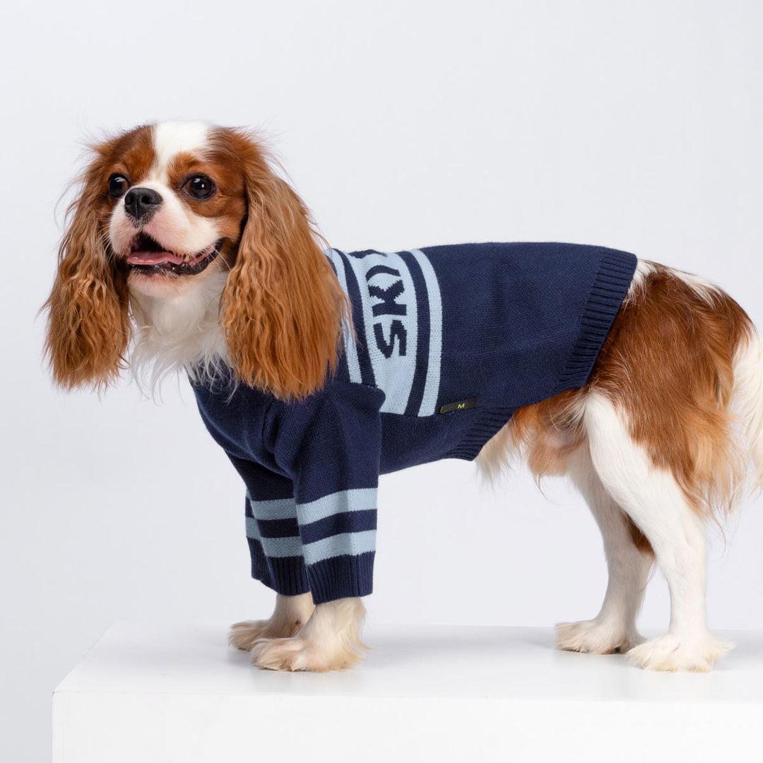 Winter Sweater for Dogs - Fitwarm Dog Clothes