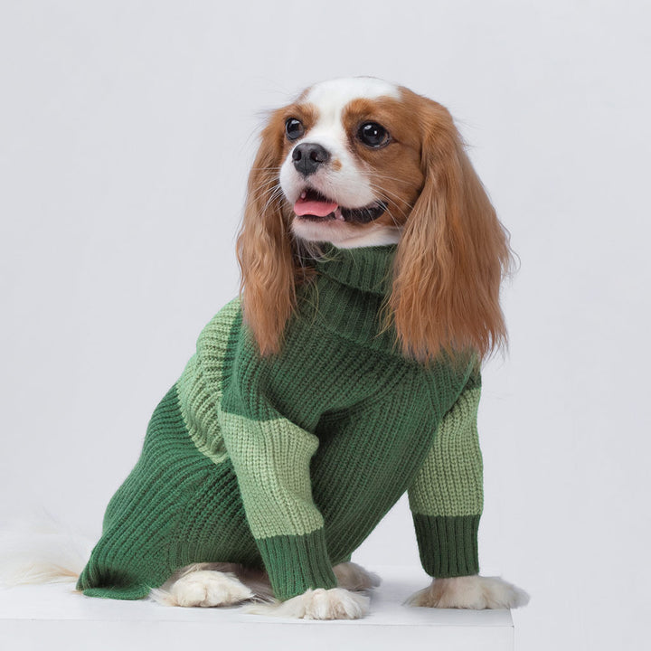 Cavalier King Charles Spaniel in a Color Block Turtleneck Dog Sweater - Fitwarm Dog Clothes