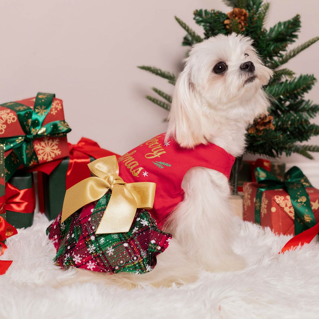 Maltese in a Christmas Dog Dress - Fitwarm Dog Clothes