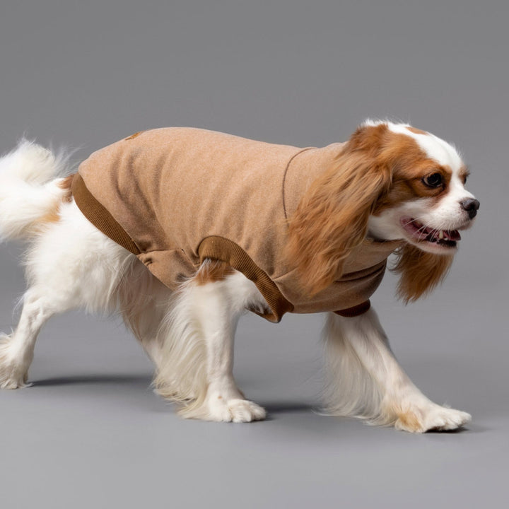 Turtleneck Winter Coat for Dogs - Fitwarm Dog Clothes