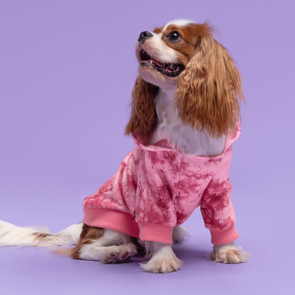 Pink Tie Dye Hoodie for Dogs - Fitwarm Dog Clothes