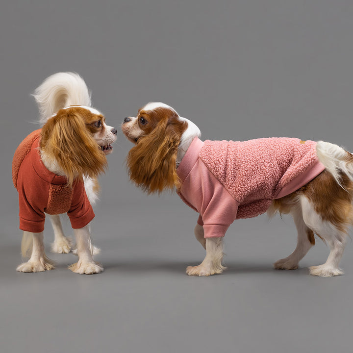 Cozy Dog Sherpa Sweater - Fitwarm Dog Clothes