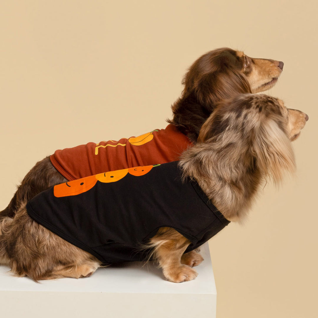 J'aime la chemise de chien d'automne