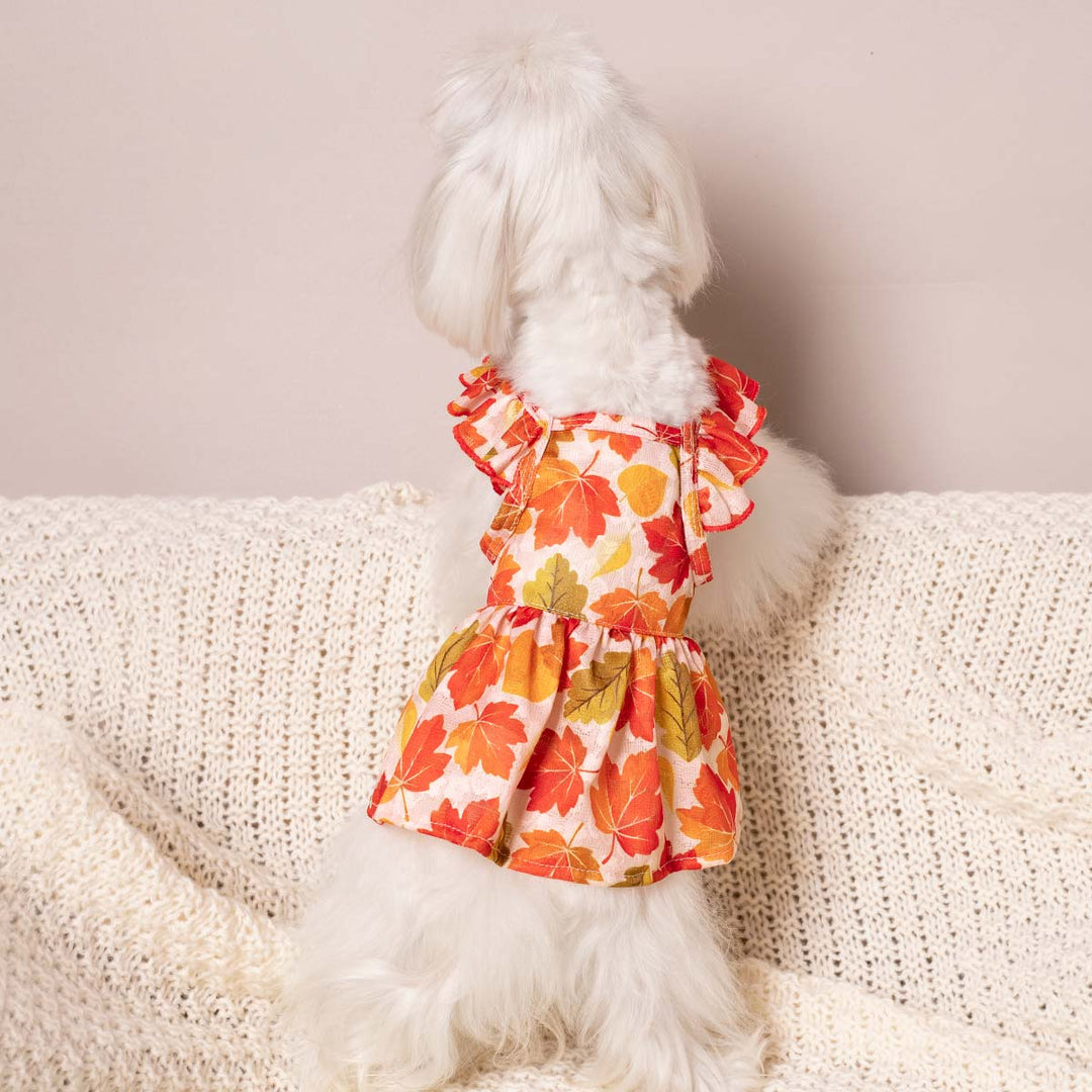 Ruffle Dress for Dogs - Fitwarm Dog Clothes