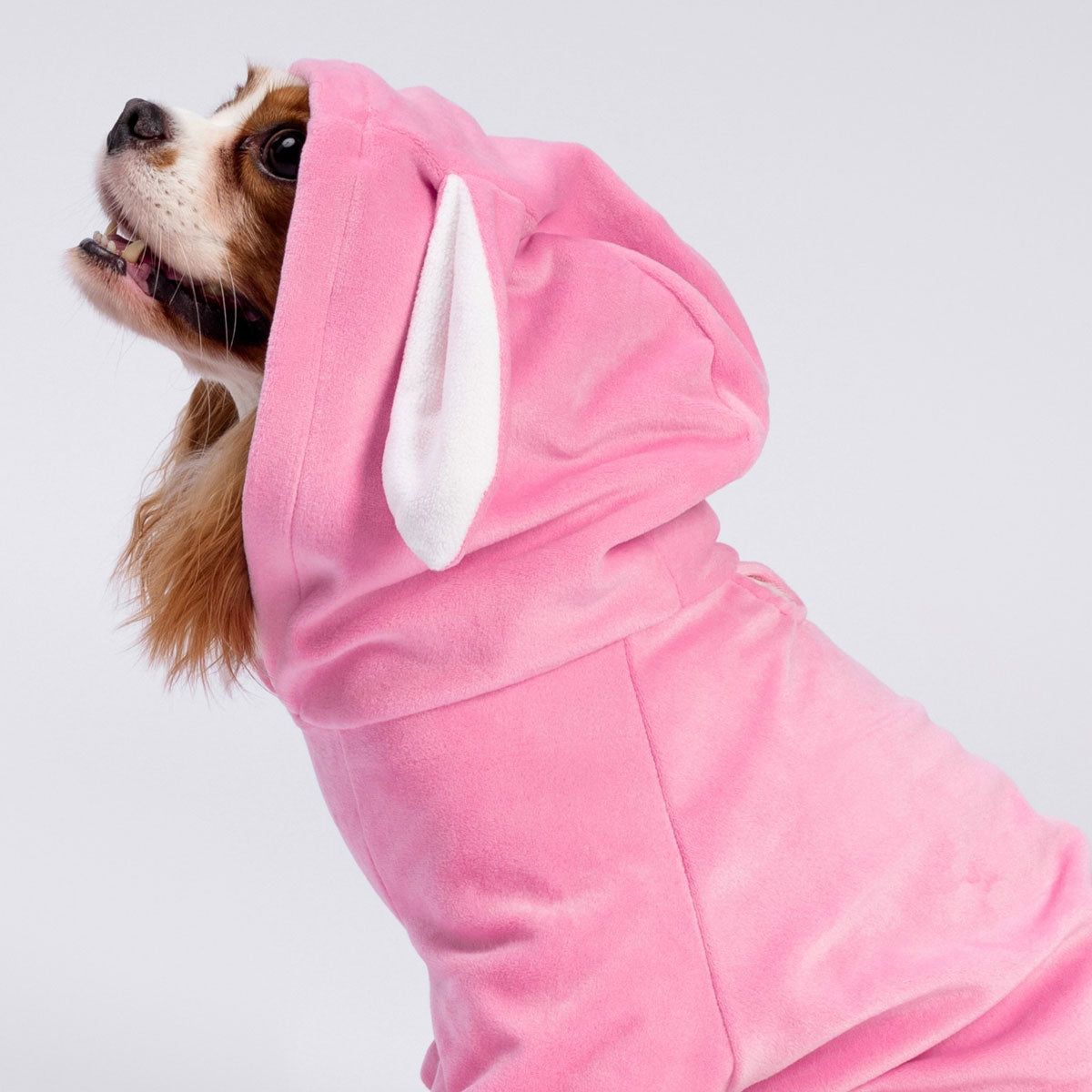 Funny Halloween Dog Bunny Costume Fitwarm