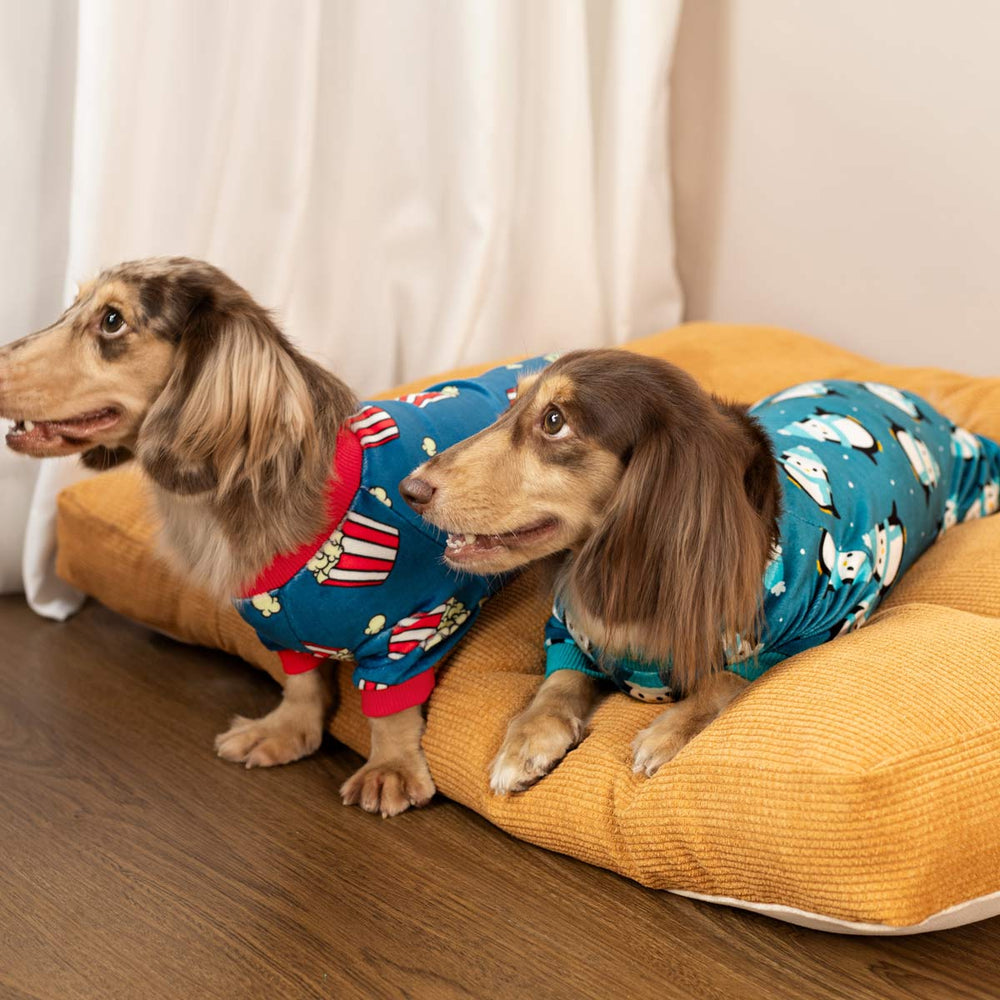 Dachshund in a Cute Penguin Dog Onesie - Fitwarm Dog Pajamas