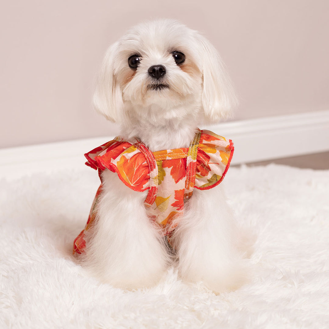 Charming Ruffle Maple Dog Dress - Fitwarm Dog Clothes