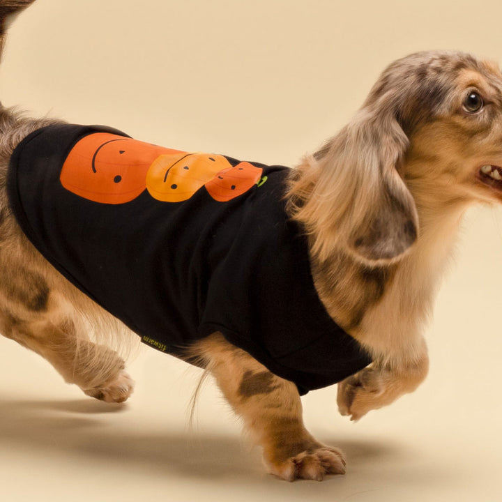 Funny Triple Pumpkin Shirt for Dog - Fitwarm Dog Tank Top