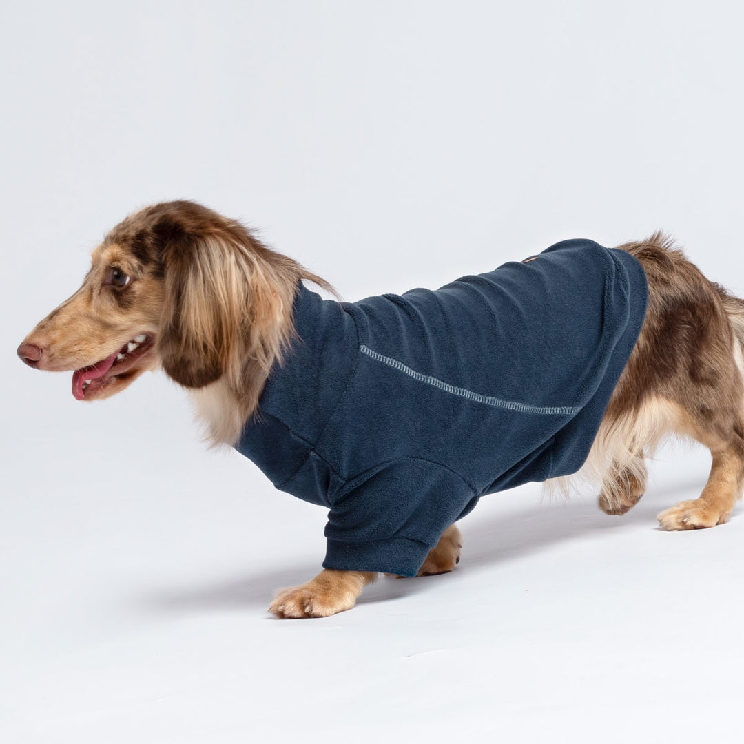 Dachshund in a Warm and Cozy Winter Dog Sweater - Fitwarm Dog Clothes