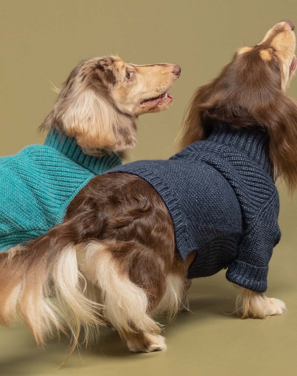 Winter Knitted Sweater for Dogs - Fitwarm Dog Clothes