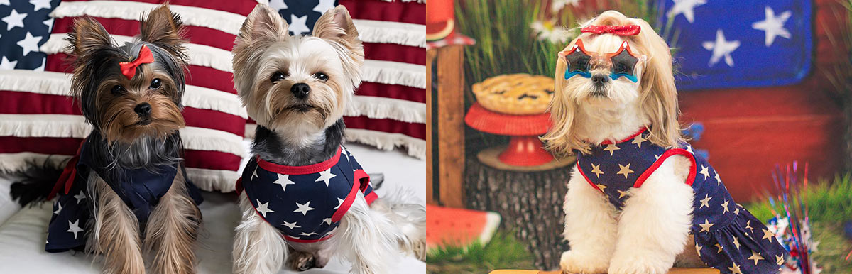 Patriotic Dog Clothes Styles for 4th of July Fitwarm