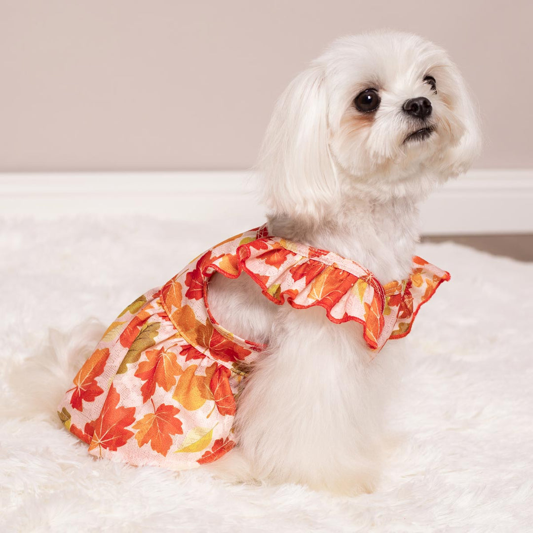 Charming Ruffle Maple Dog Dress - Fitwarm Dog Clothes