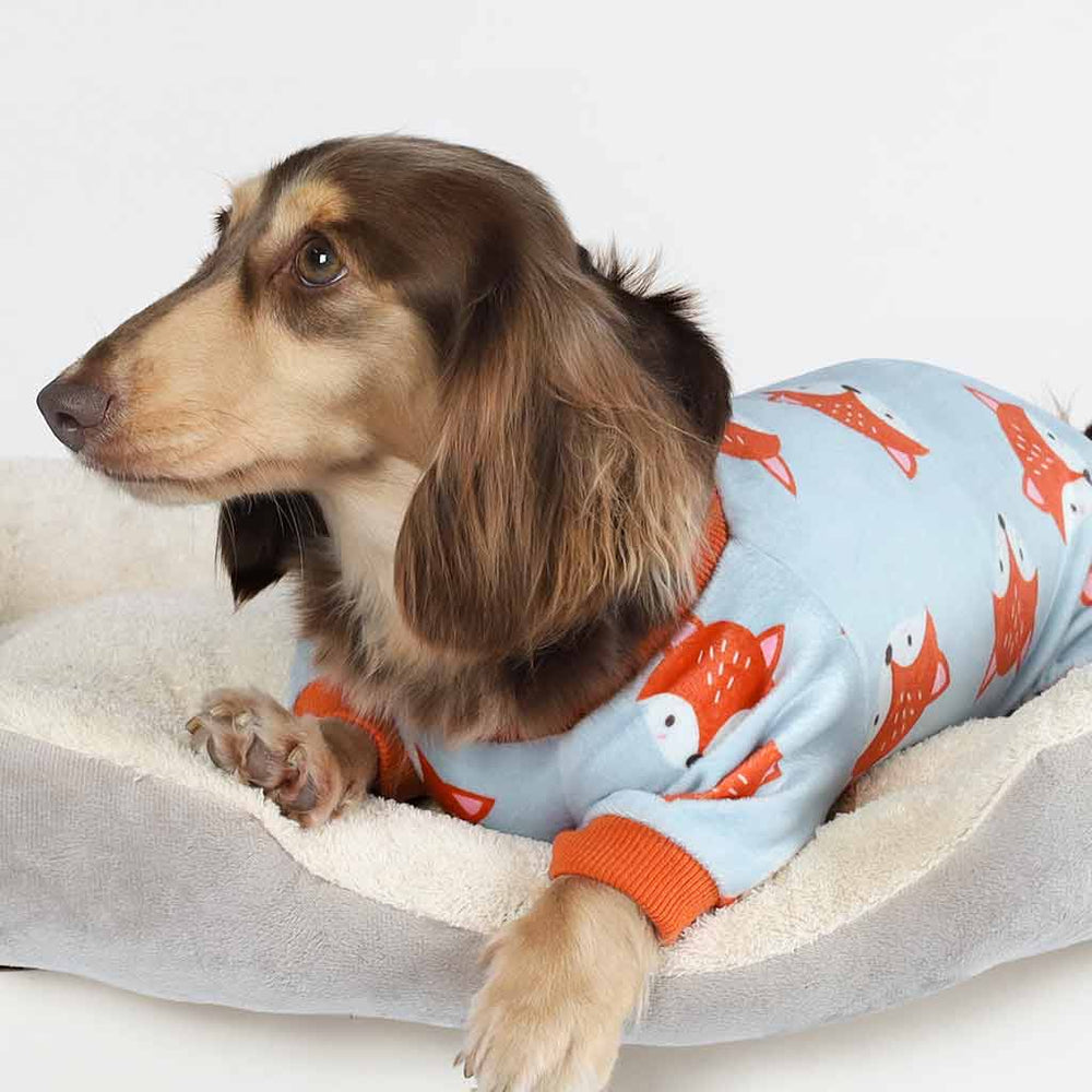Dachshund in a Fox Print Dog Footie Pajamas - Dachshund Apparel for Dogs - Fitwarm Dog Clothes