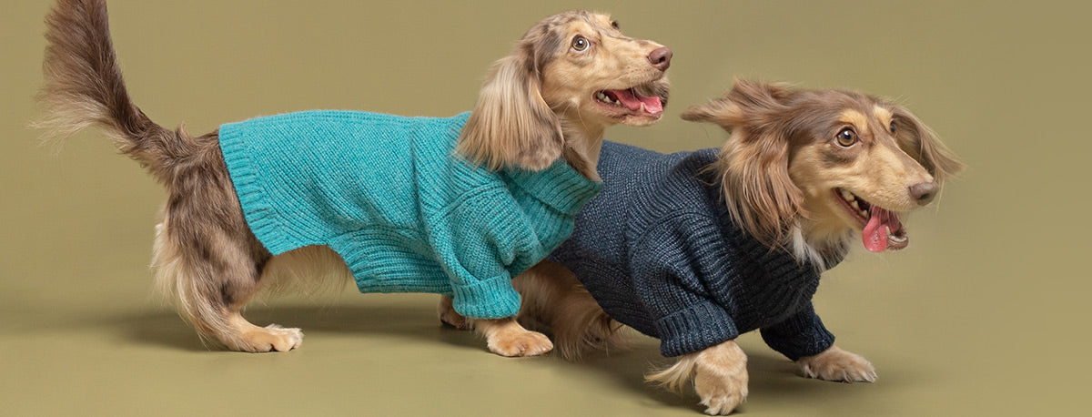 Winter Knitted Sweater for Dogs - Fitwarm Dog Clothes