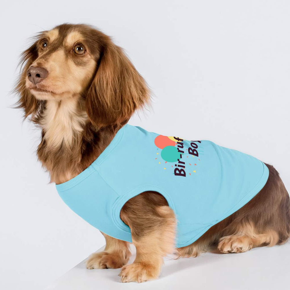 Dachshund in a Dog Birthday Shirt with 'Bir-ruff-day Boy' Lettering - Dachshund Apparel for Dogs - Fitwarm Dog Clothes