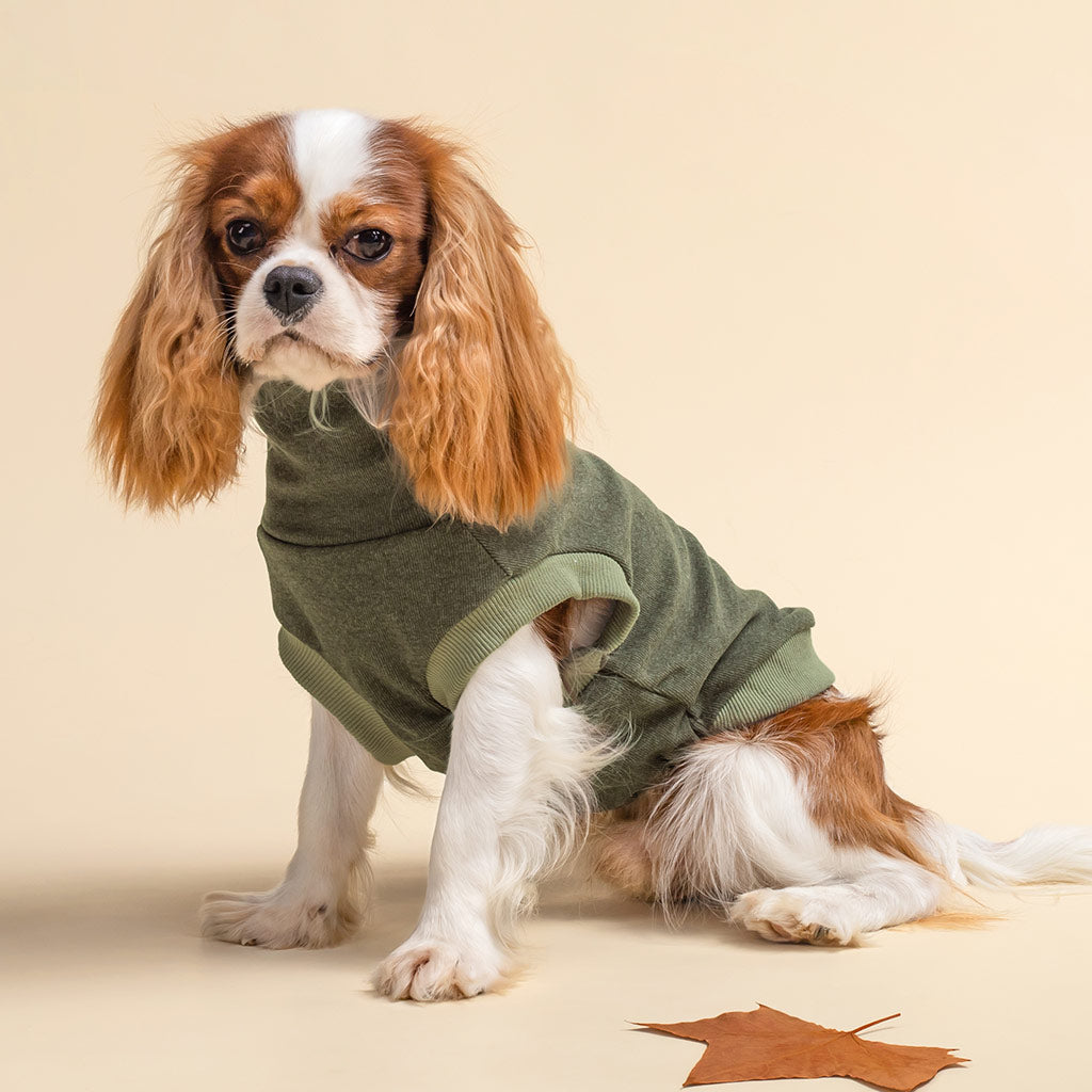 Cozy Turtleneck Winter Dog Coat - Fitwarm Dog Clothes