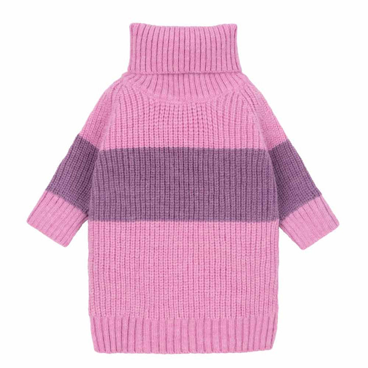 Plum Color Block Winter Dog Sweater - Fitwarm Dog Clothes