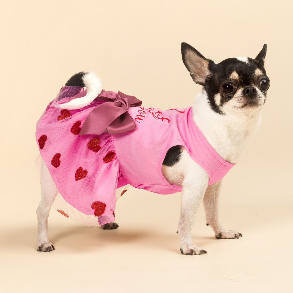 I Woof You Valentine Dog Dress - Fitwarm Dog Valentine Outfit