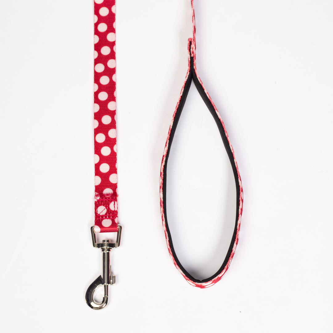 Funny Polka Dot Leash for Dogs - Fitwarm Dog Clothes